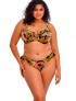 BRAGA BIKINI ELOMI TIGER VALLEY BLK