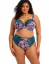 SUJETADOR ELOMI LUCIE TEAL FLORAL TOL