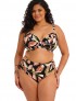 Braga alta bikini Elomi Ocean Avenue Mui